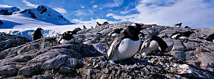 《星空》不支持玩家从太空无缝飞到星球上